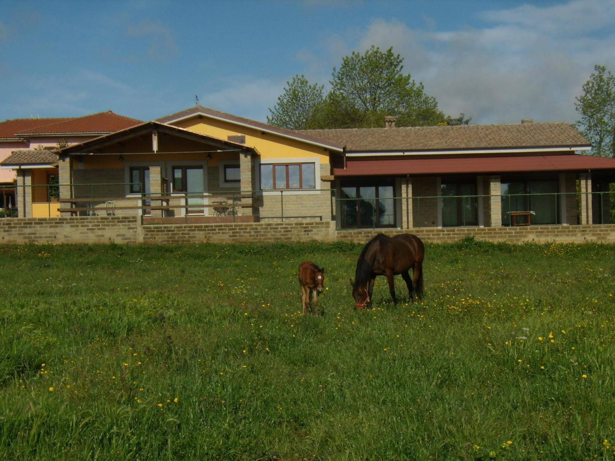 Agriturismo L.B.Stud Bracciano  Exteriör bild