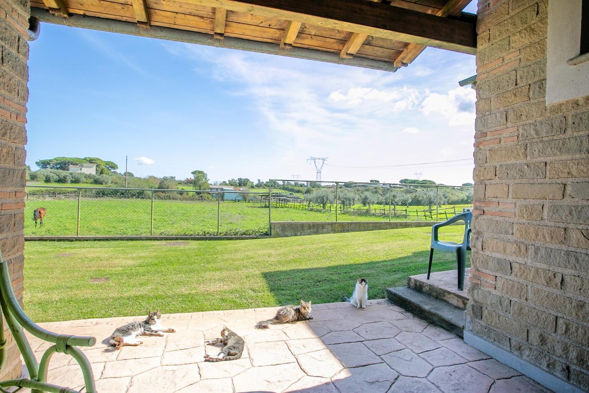 Agriturismo L.B.Stud Bracciano  Exteriör bild