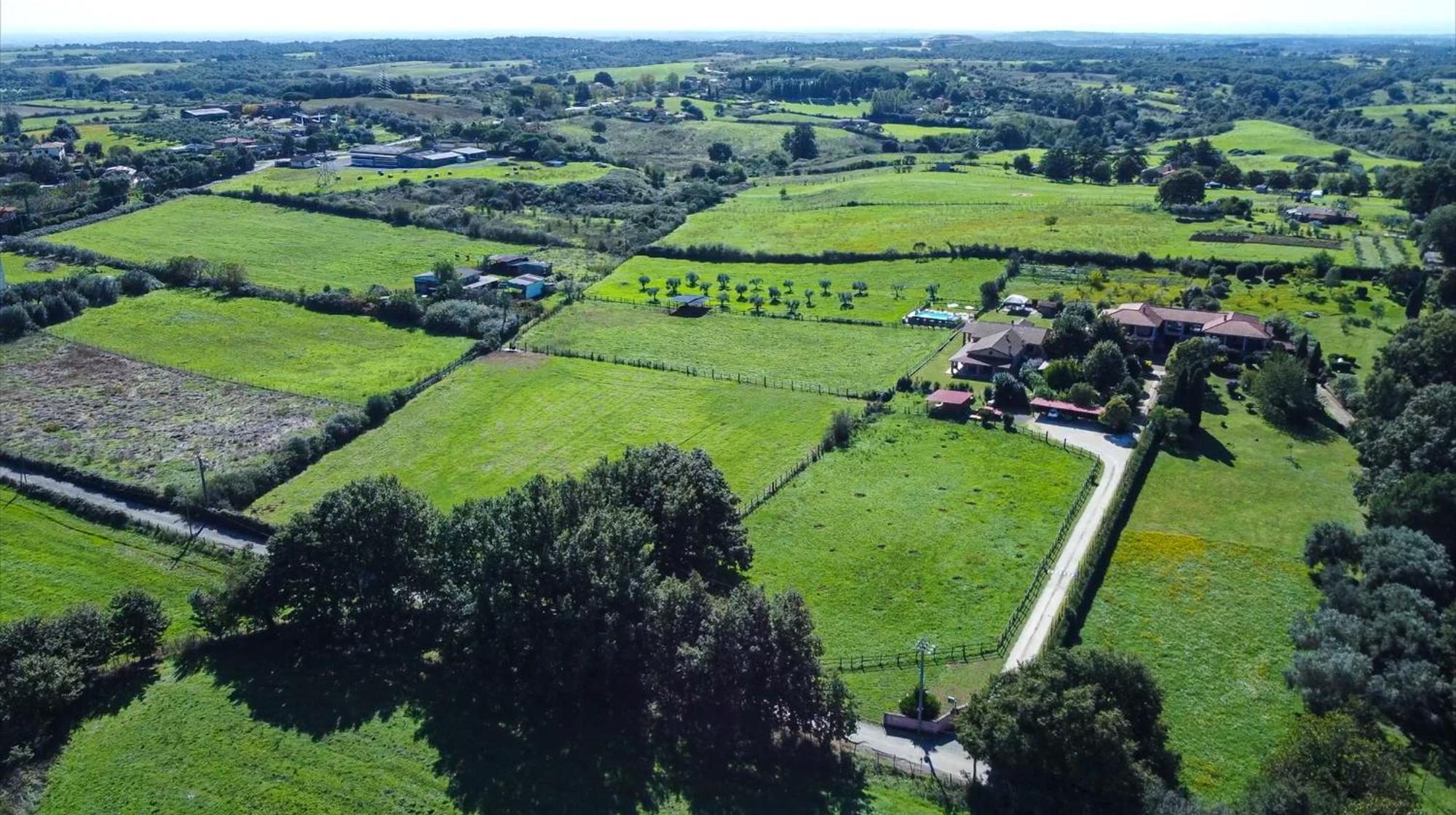 Agriturismo L.B.Stud Bracciano  Exteriör bild